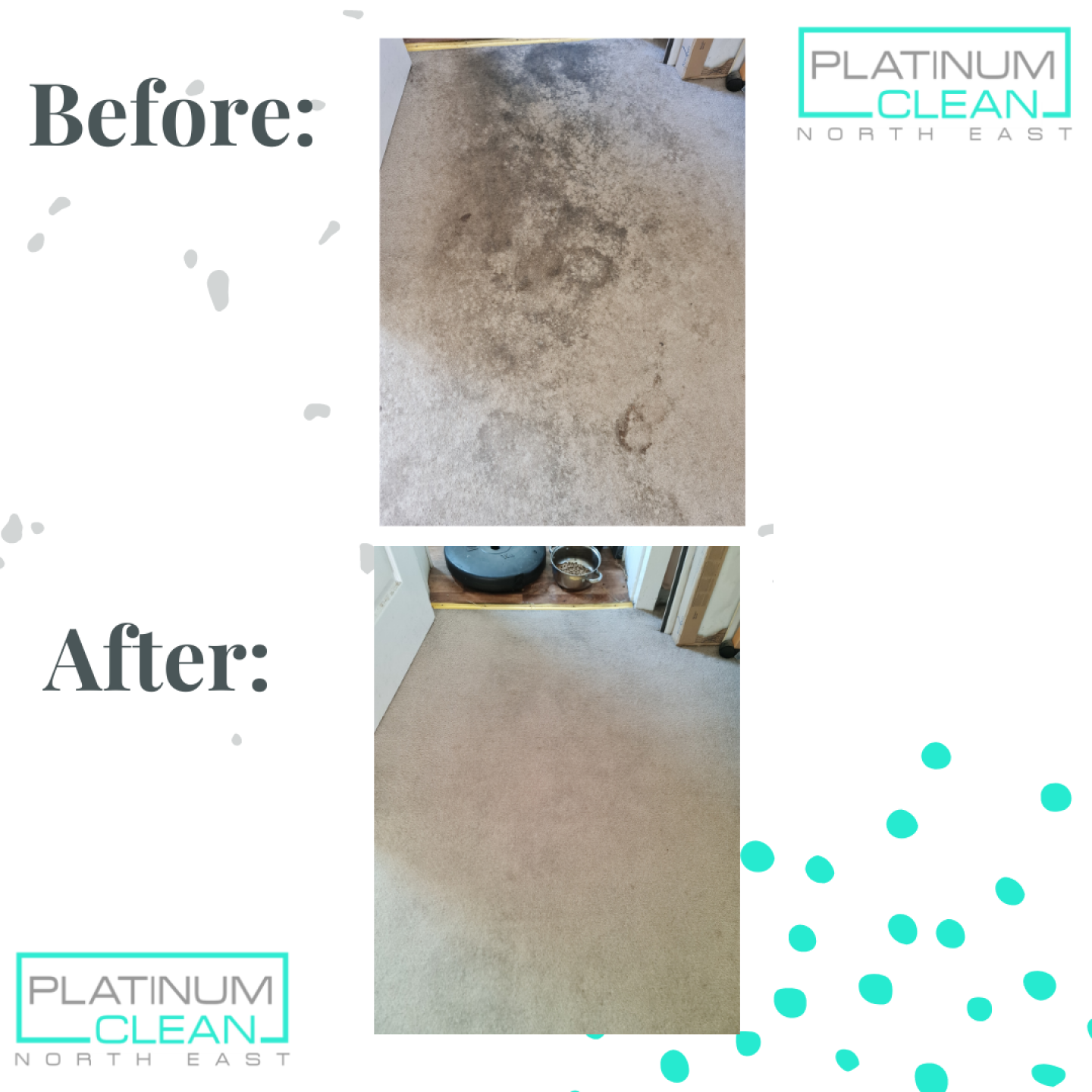 carpet cleaning seaham